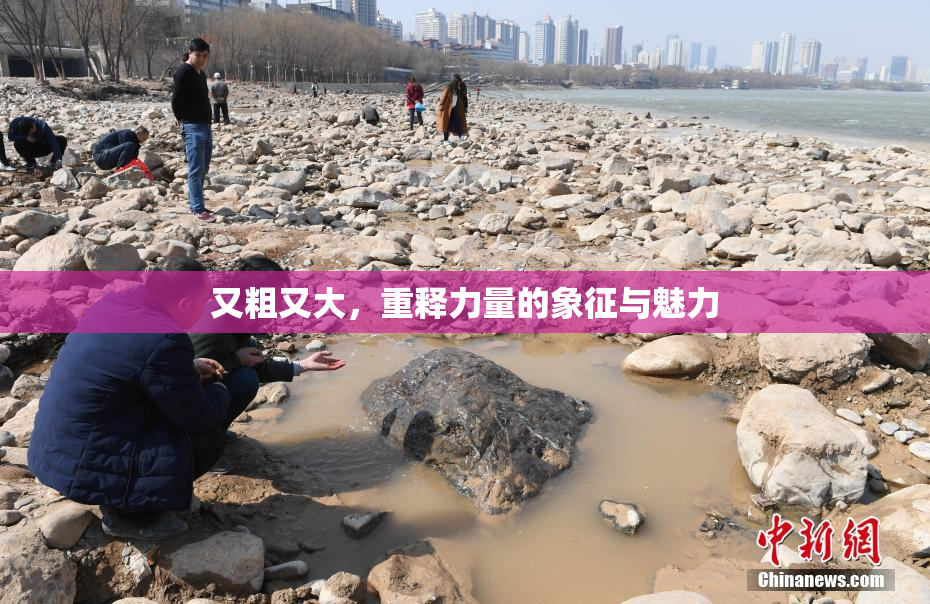 又粗又大，重释力量的象征与魅力