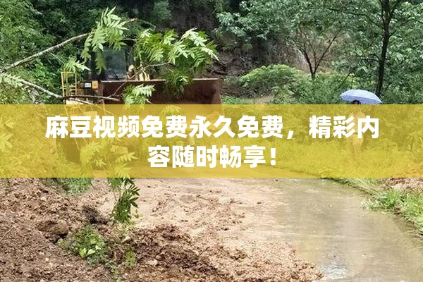 麻豆视频免费永久免费，精彩内容随时畅享！