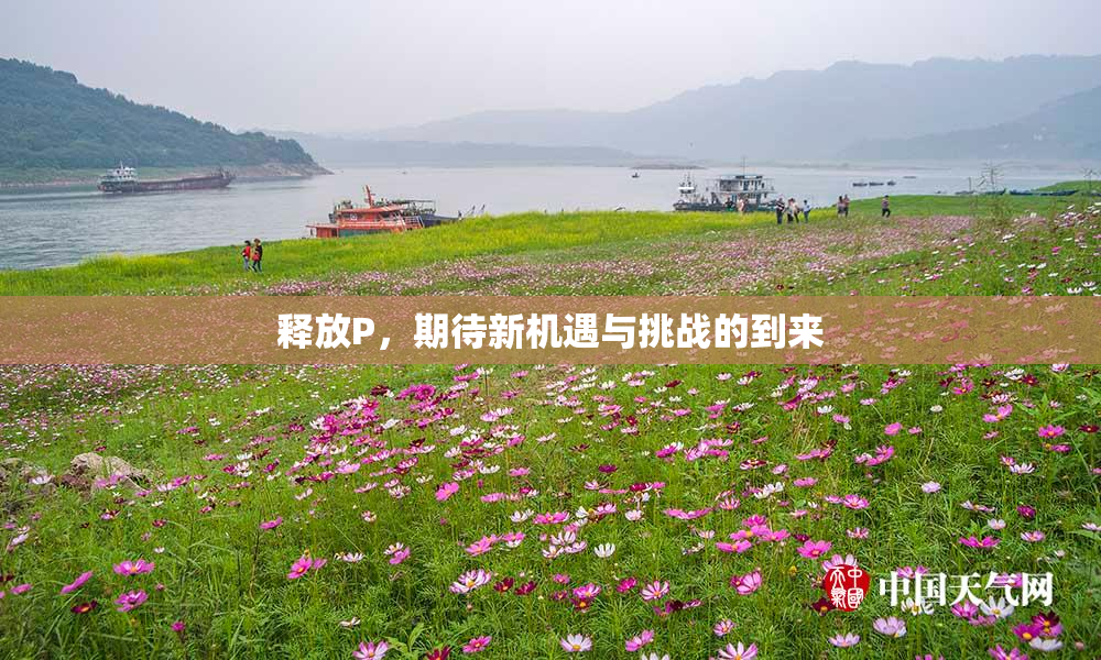 释放P，期待新机遇与挑战的到来