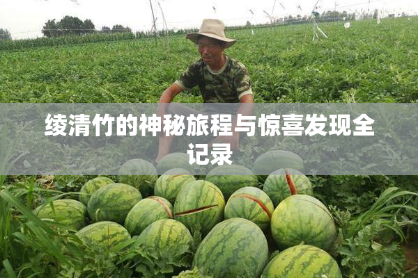 绫清竹的神秘旅程与惊喜发现全记录