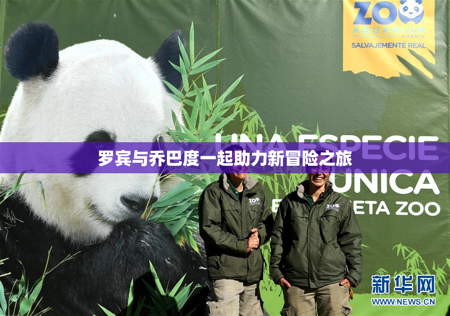 罗宾与乔巴度一起助力新冒险之旅