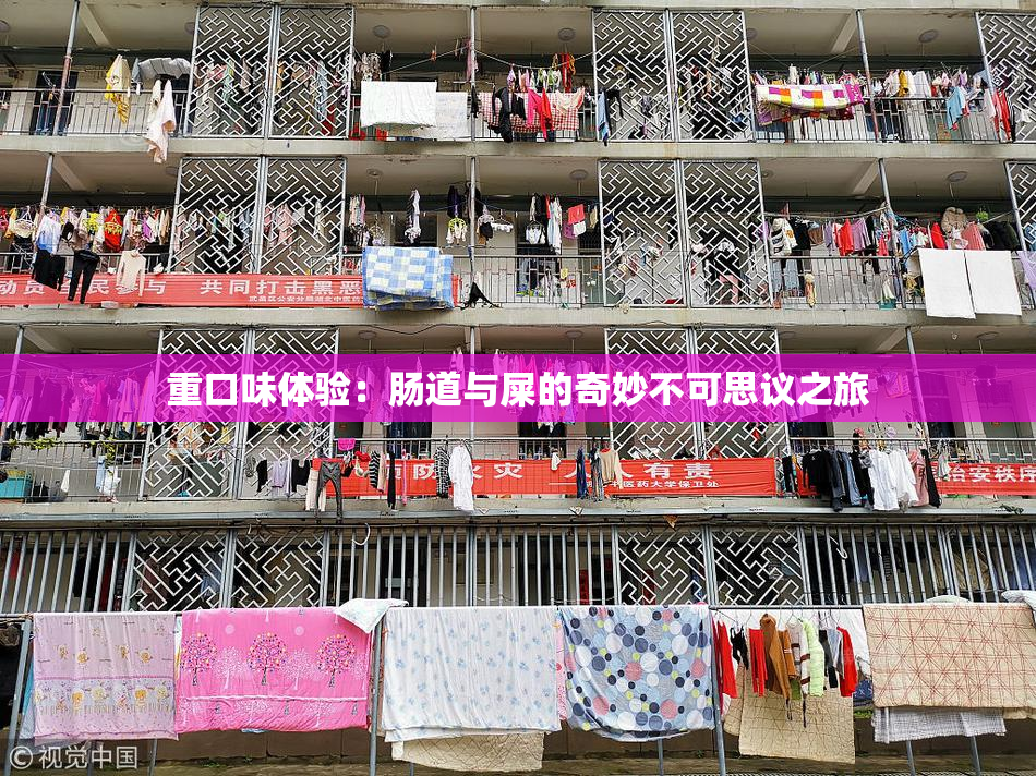 重口味体验：肠道与屎的奇妙不可思议之旅