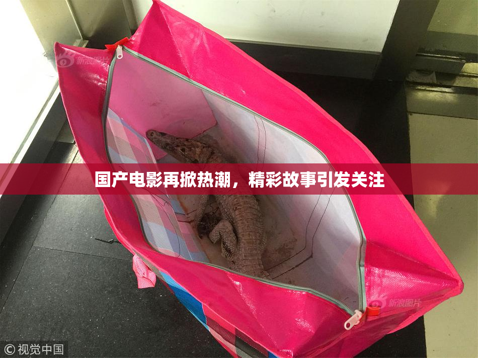 国产电影再掀热潮，精彩故事引发关注