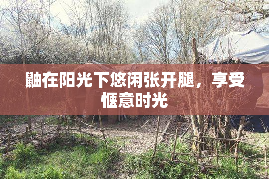鼬在阳光下悠闲张开腿，享受惬意时光