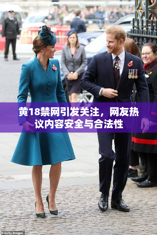 黄18禁网引发关注，网友热议内容安全与合法性