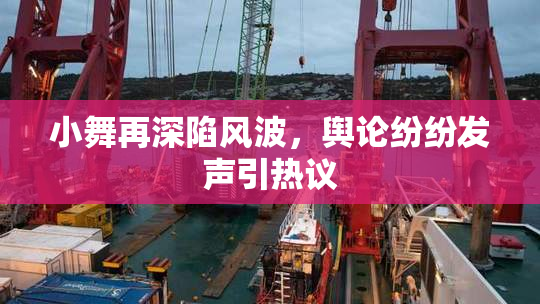 小舞再深陷风波，舆论纷纷发声引热议