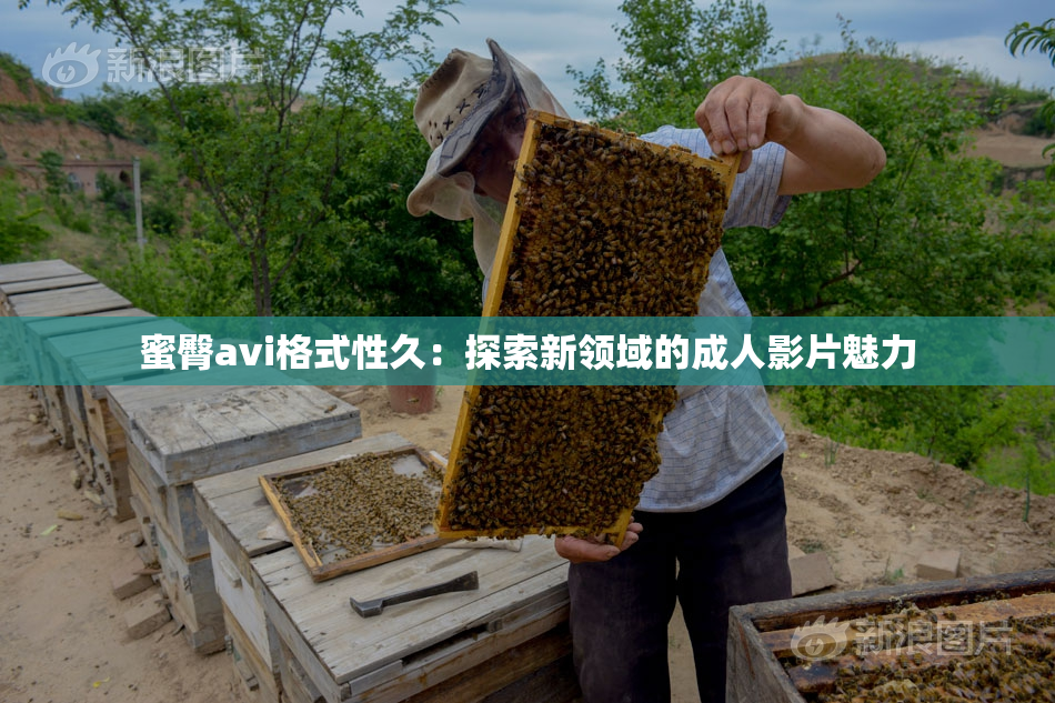 蜜臀avi格式性久：探索新领域的成人影片魅力