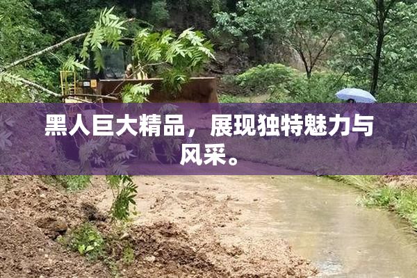 黑人巨大精品，展现独特魅力与风采。