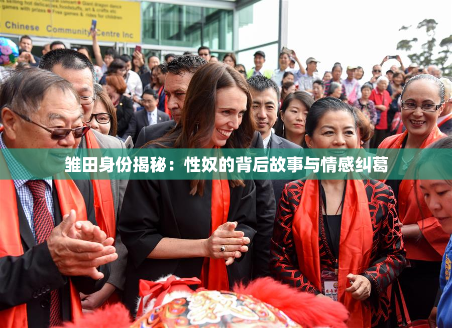 雏田身份揭秘：性奴的背后故事与情感纠葛