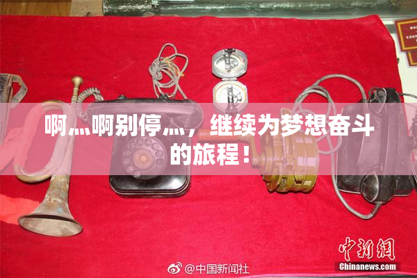 啊灬啊别停灬，继续为梦想奋斗的旅程！