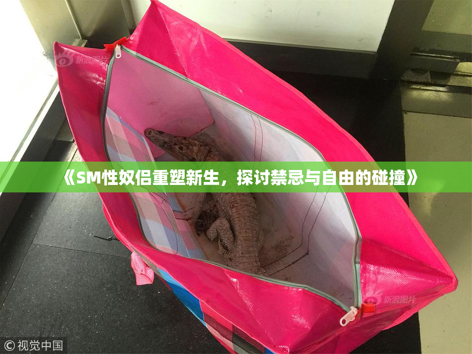 《SM性奴侣重塑新生，探讨禁忌与自由的碰撞》