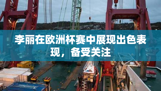李丽在欧洲杯赛中展现出色表现，备受关注