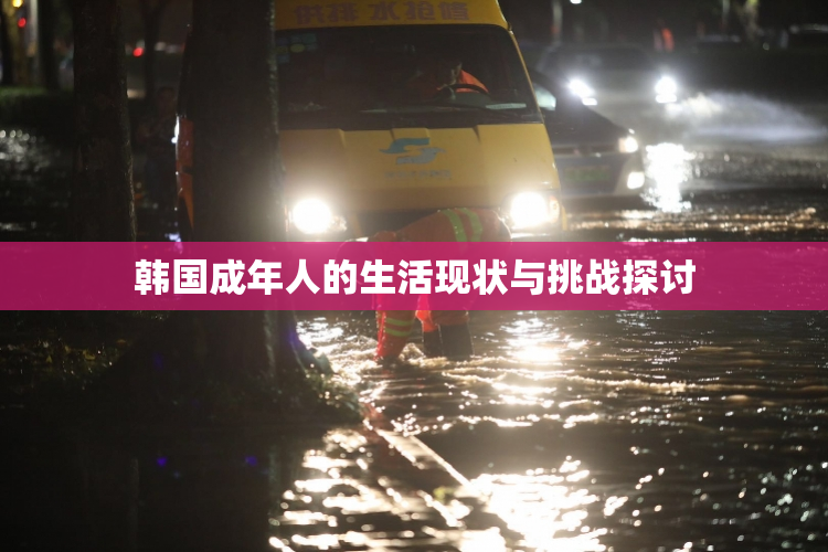 韩国成年人的生活现状与挑战探讨