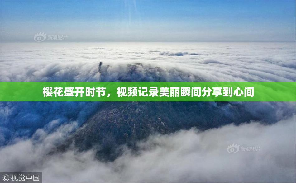樱花盛开时节，视频记录美丽瞬间分享到心间
