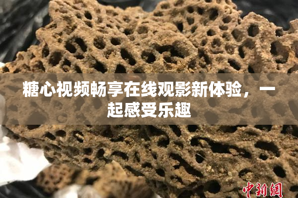 糖心视频畅享在线观影新体验，一起感受乐趣