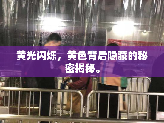 黄光闪烁，黄色背后隐藏的秘密揭秘。