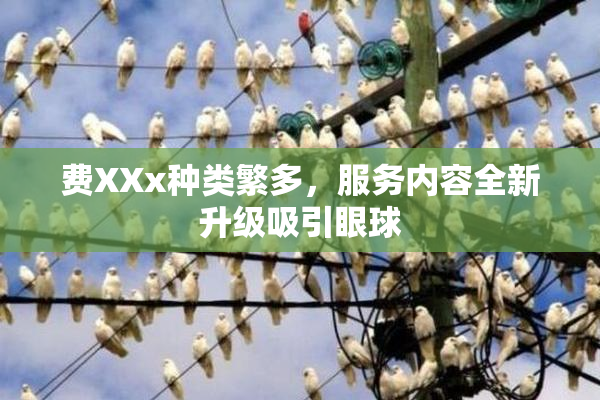 费XXx种类繁多，服务内容全新升级吸引眼球