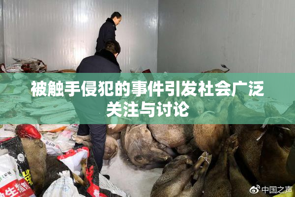 被触手侵犯的事件引发社会广泛关注与讨论