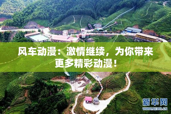 风车动漫：激情继续，为你带来更多精彩动漫！