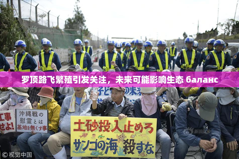 罗顶路飞繁殖引发关注，未来可能影响生态 баланс