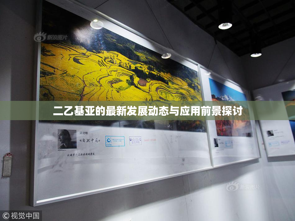 二乙基亚的最新发展动态与应用前景探讨