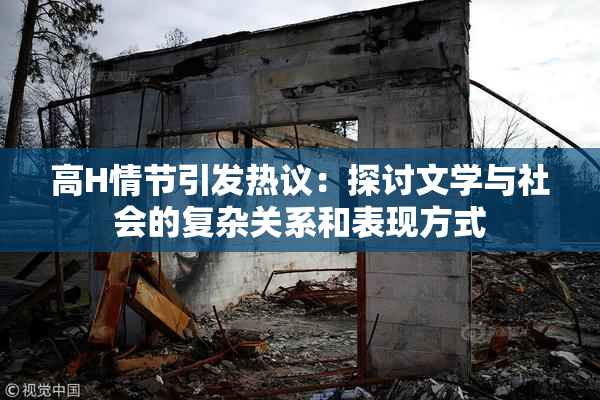 高H情节引发热议：探讨文学与社会的复杂关系和表现方式