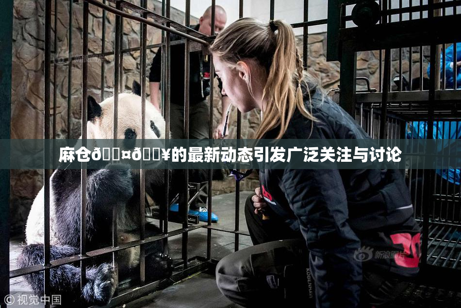 麻仓🖤🔥的最新动态引发广泛关注与讨论