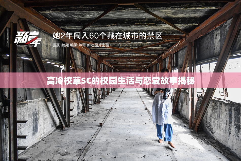 高冷校草SC的校园生活与恋爱故事揭秘