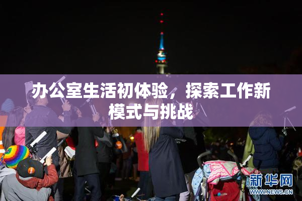 办公室生活初体验，探索工作新模式与挑战