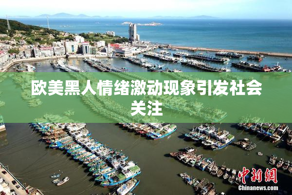 欧美黑人情绪激动现象引发社会关注