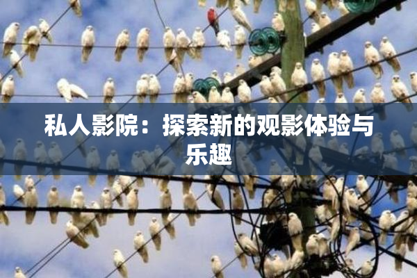 私人影院：探索新的观影体验与乐趣