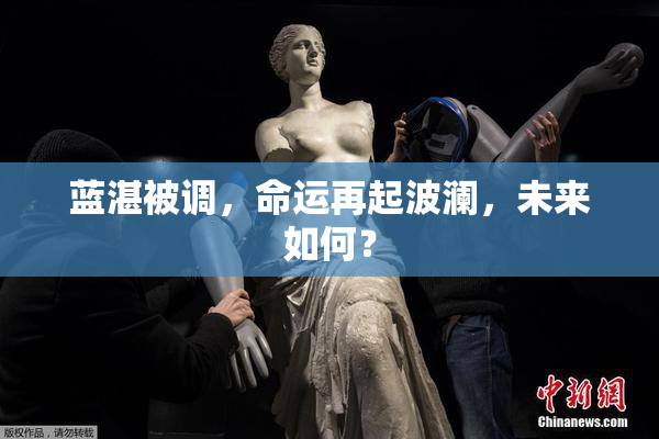 蓝湛被调，命运再起波澜，未来如何？