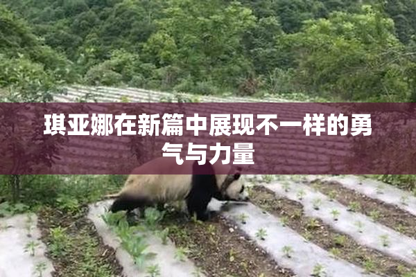 琪亚娜在新篇中展现不一样的勇气与力量