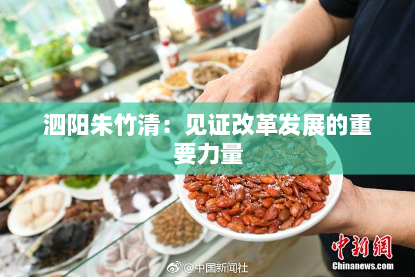 泗阳朱竹清：见证改革发展的重要力量