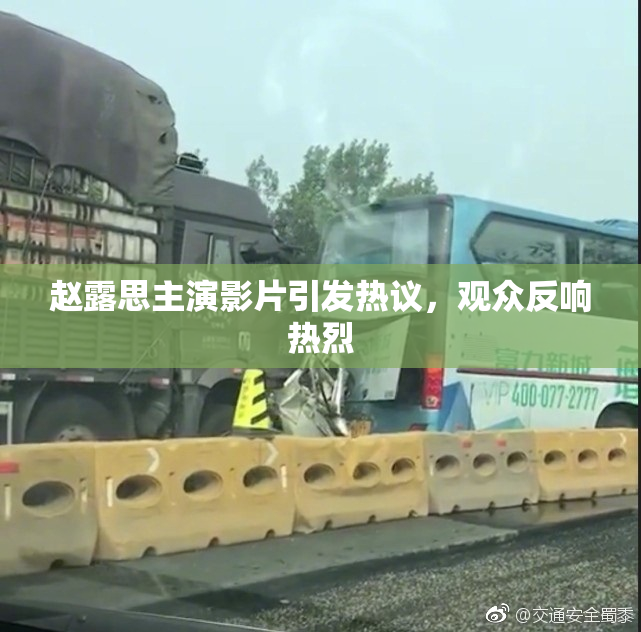 赵露思主演影片引发热议，观众反响热烈