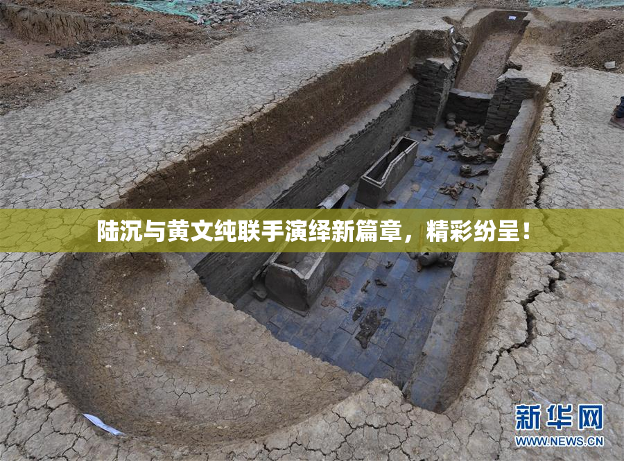 陆沉与黄文纯联手演绎新篇章，精彩纷呈！
