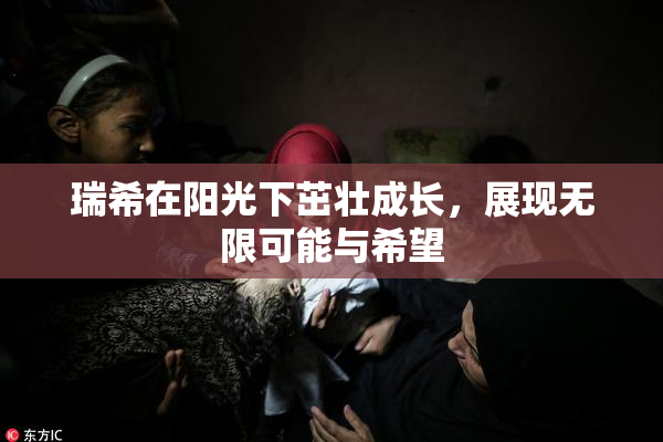 瑞希在阳光下茁壮成长，展现无限可能与希望