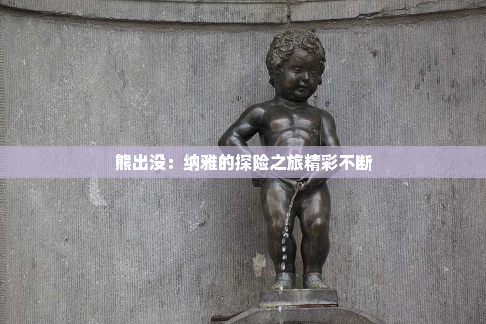 熊出没：纳雅的探险之旅精彩不断
