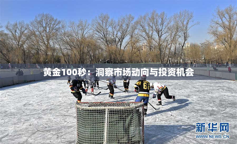 黄金100秒：洞察市场动向与投资机会