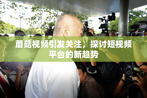 蘑菇视频引发关注，探讨短视频平台的新趋势