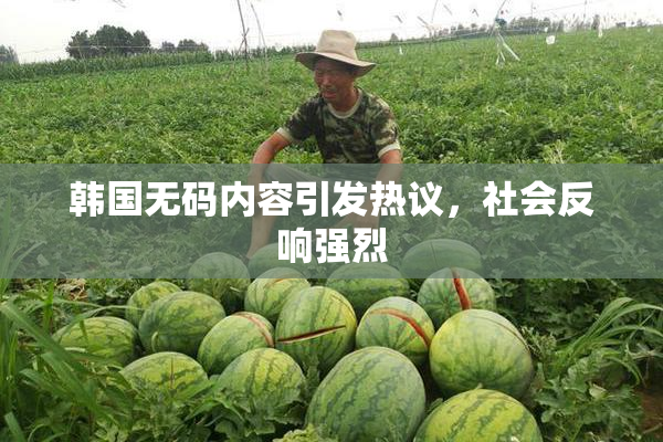 韩国无码内容引发热议，社会反响强烈