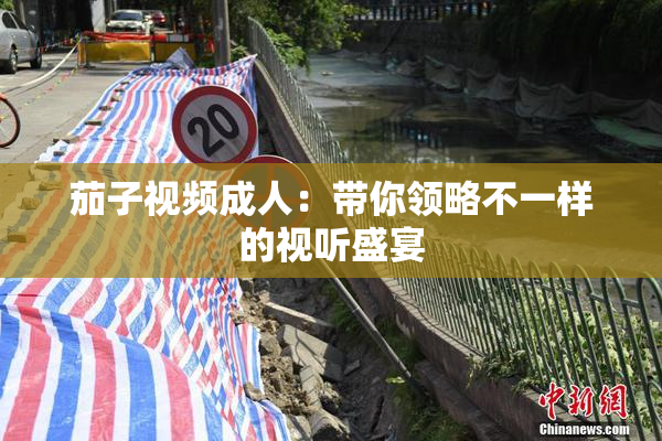 茄子视频成人：带你领略不一样的视听盛宴