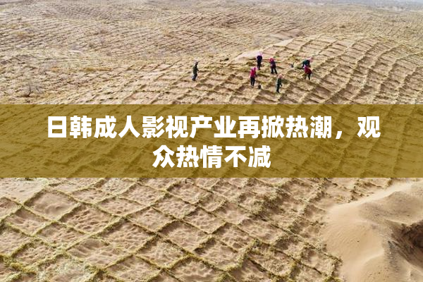 日韩成人影视产业再掀热潮，观众热情不减