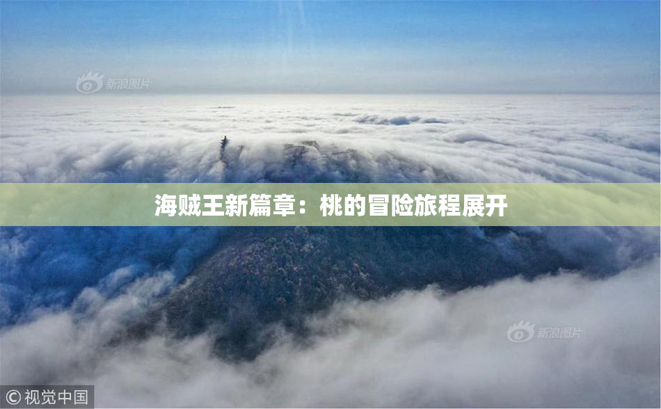 海贼王新篇章：桃的冒险旅程展开