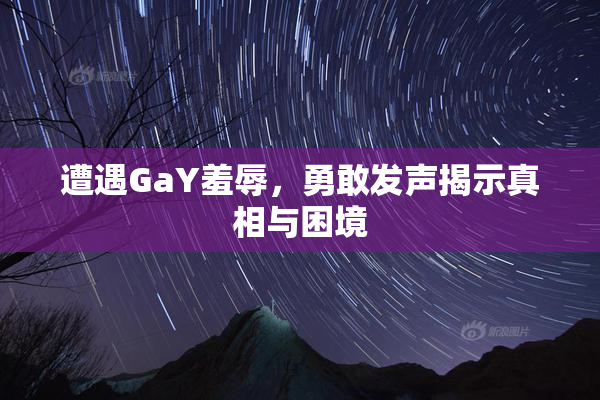 遭遇GaY羞辱，勇敢发声揭示真相与困境