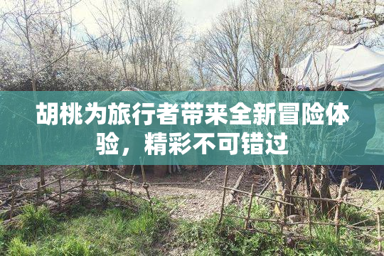 胡桃为旅行者带来全新冒险体验，精彩不可错过