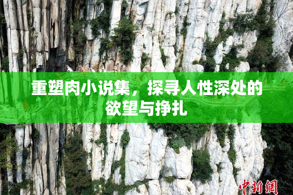 重塑肉小说集，探寻人性深处的欲望与挣扎