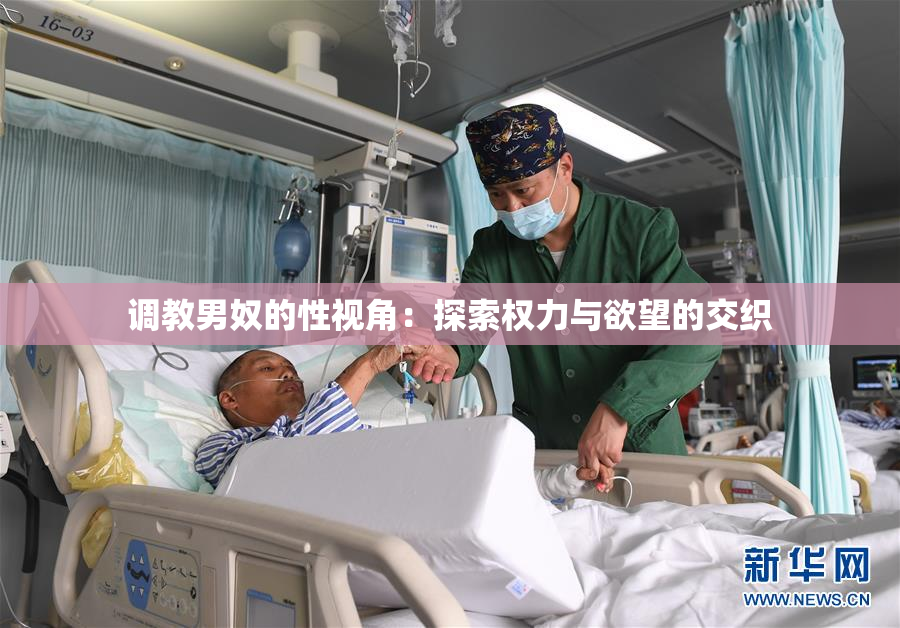 调教男奴的性视角：探索权力与欲望的交织