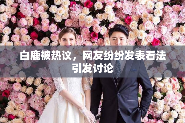 白鹿被热议，网友纷纷发表看法引发讨论