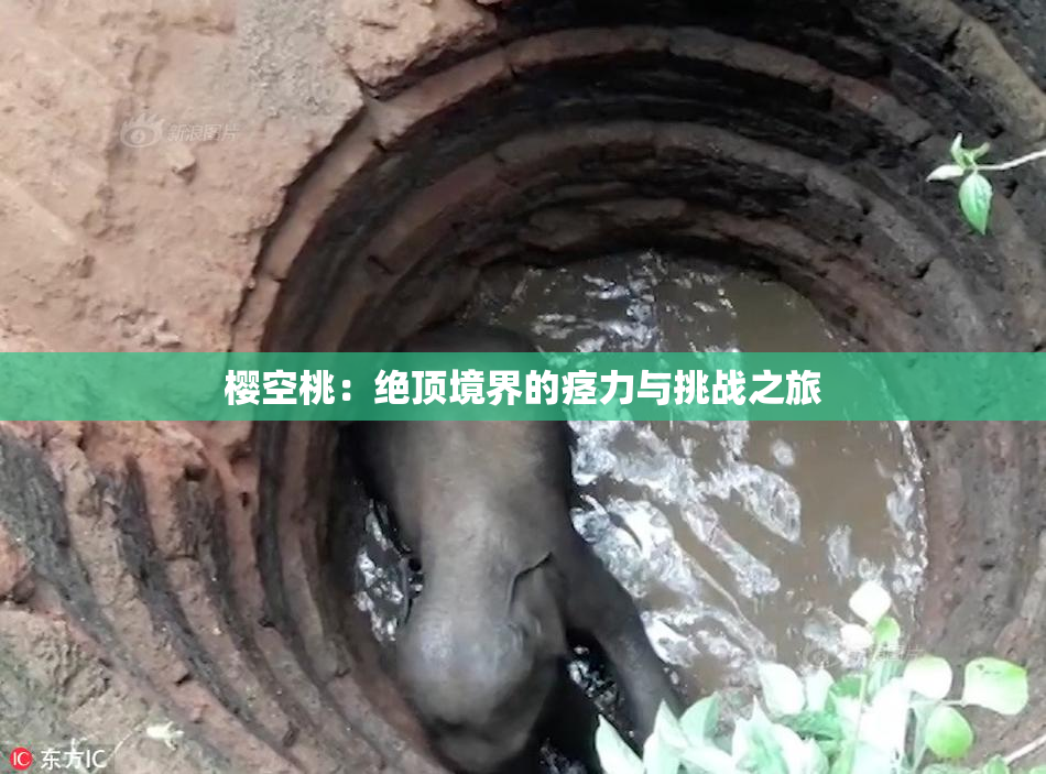 樱空桃：绝顶境界的痉力与挑战之旅